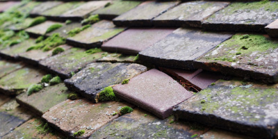 Wrestlingworth roof repair costs